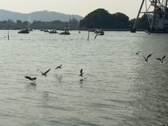 -蠡湖大桥公园