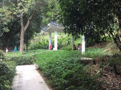 -清溪大王山森林公园