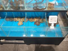 水产区-盒马鲜生(王府广场店)