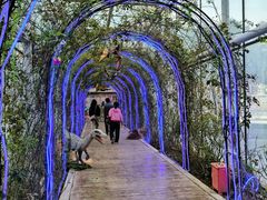 -沈阳植物园