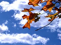 -北京西山国家森林公园