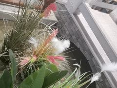 -印巷里主题餐厅(马鞍山店)