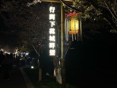 -长田漾湿地公园