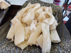 -蘑统田下·野生菌火锅