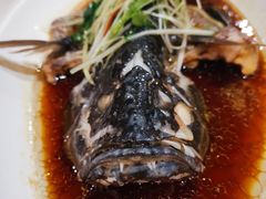 -琼菜坊·无鸡不成宴·海南菜老爸茶糟粕醋(海口骑楼老街店)