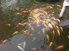 -豫园湖心亭茶楼