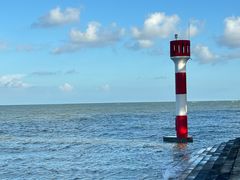 -北海金海湾红树林生态旅游区