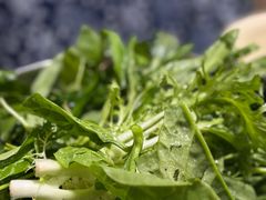 -黔府豆米火锅野菜馆(南马店)