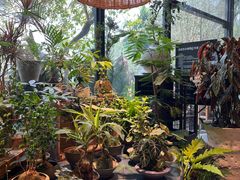 -自由生长植物工作室(深港花卉中心店)