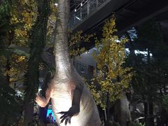 -湖南省地质博物馆