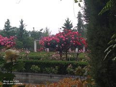 -郑州植物园