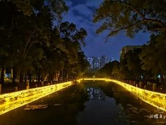 -广西大学(大学东路校区)