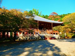 -醍醐寺