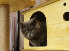 -爱诺耐芙动物医院(万博店)