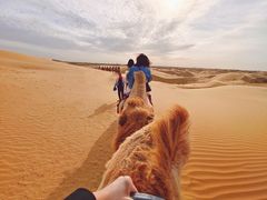 -银肯塔拉沙漠生态旅游景区
