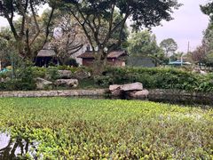 -安仁古镇