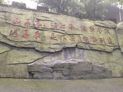 -广州市帽峰山景区