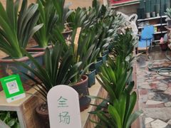-秦美花卉(天朗·莱茵小城2期店)
