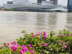 -广州白天鹅宾馆