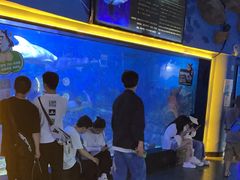 -烟台海昌鲸鲨海洋公园