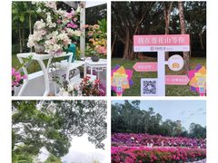 -莲花山公园