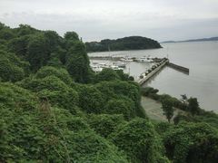 -司徒庙