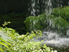 -广州白天鹅宾馆