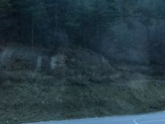 -九寨沟-树正沟