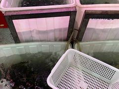 -金海椒罐罐鲢鱼(东方桂苑店)