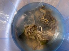 -碣石宫遗址