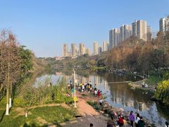 -重庆彩云湖湿地公园