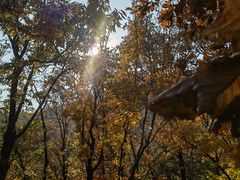 -北京鹫峰国家森林公园