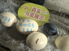 -广州长隆飞鸟乐园