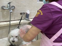-暖阳宠物医院·犬猫康复中心·骨科