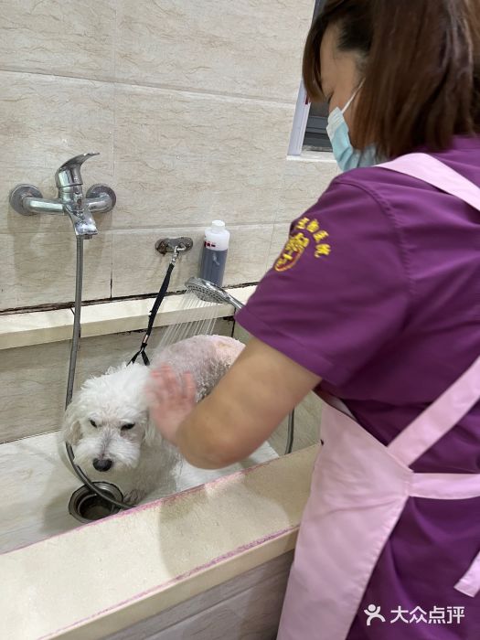暖阳宠物医院·犬猫康复中心·骨科图片