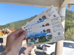 -泉州海丝野生动物世界