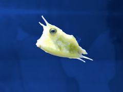 -绿色星球动物主题公园