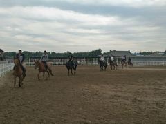 -月河湾马术俱乐部(朝阳店)