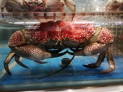 -盒马鲜生(顺义店)