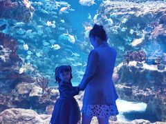 -海合安成都极地海洋公园