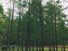 -晓港公园