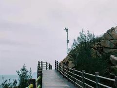 -广东惠东海龟国家级自然保护区