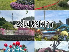 -海心沙亚运公园