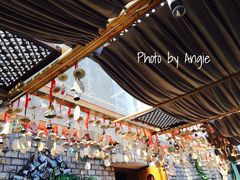 iphone_upload_pic-慢丽江·云南野生菌土鸡锅(付家庄店)