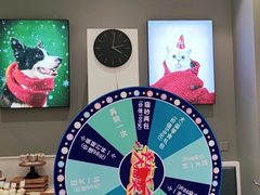-关爱宠物医院·猫科中心·消化科(滨湖万达分院)