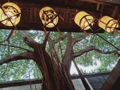 -文儒九号·闽菜馆(三坊七巷店)