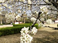 -洛阳市隋唐城遗址植物园