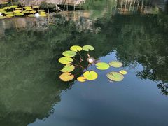 -水泉溪自然风景区