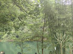 -鼎湖山风景区