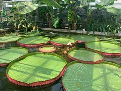 -国家植物园南园